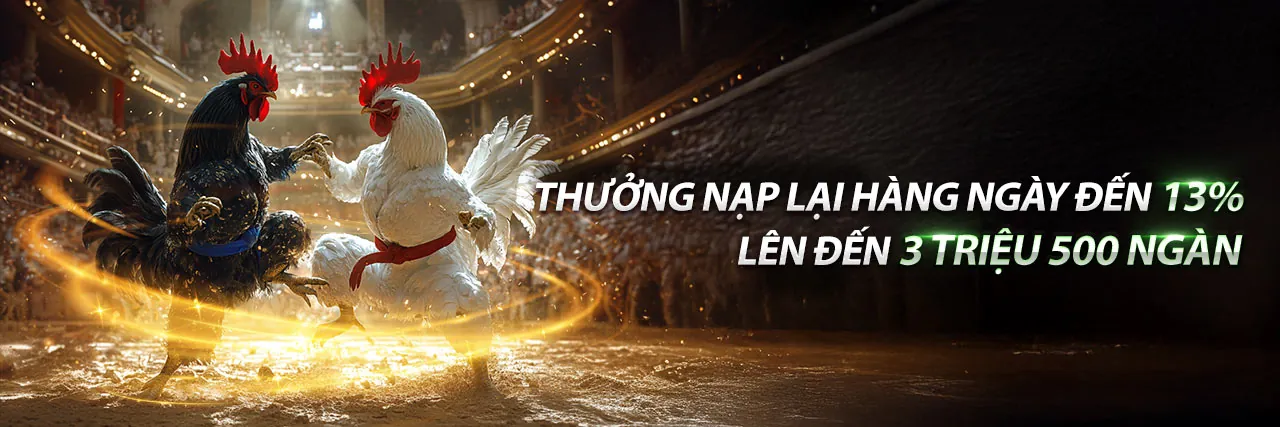 Khuyến Mãi Jili Hấp Dẫn